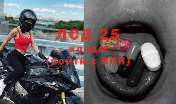 ALPHA PVP Богородицк